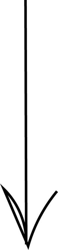 A simple black arrow points downward. The arrow has a straight line with curved tails reminiscent of a minimalistic design or drawing.